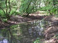 New pond in Oakenbank Wood